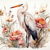rose_storck